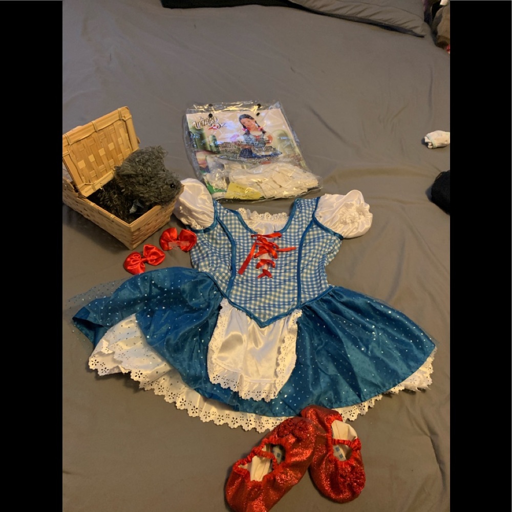 Little girls Wizard of oz Dorothy costume